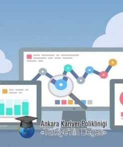 Dijital Pazarlama ve Sosyal Medya Uzmanlığı Doktora Programı