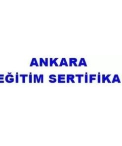 ÖFKE KONT/ PROTOKOL KURALLARI/ TRAFİK KONTROL - Görsel 2